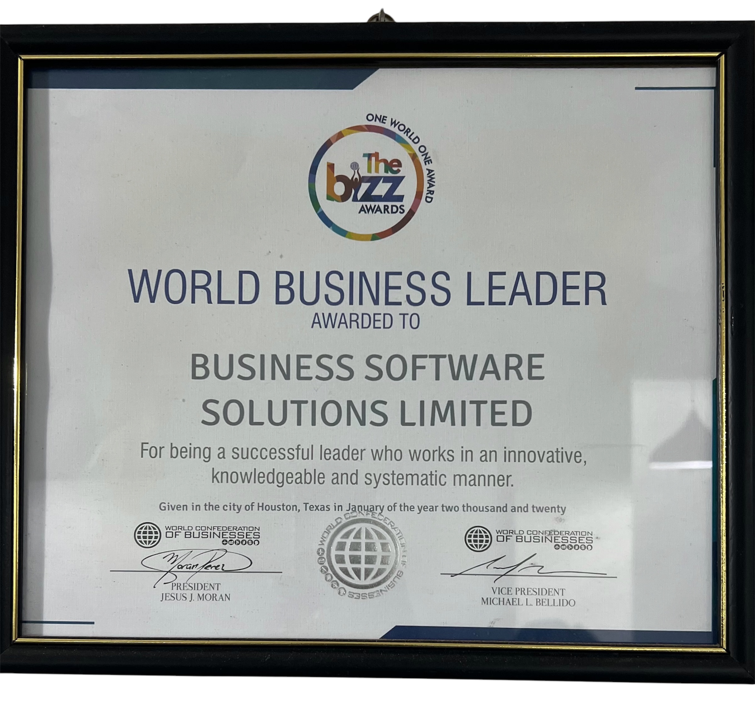 The Bizz Awards World Business Leader